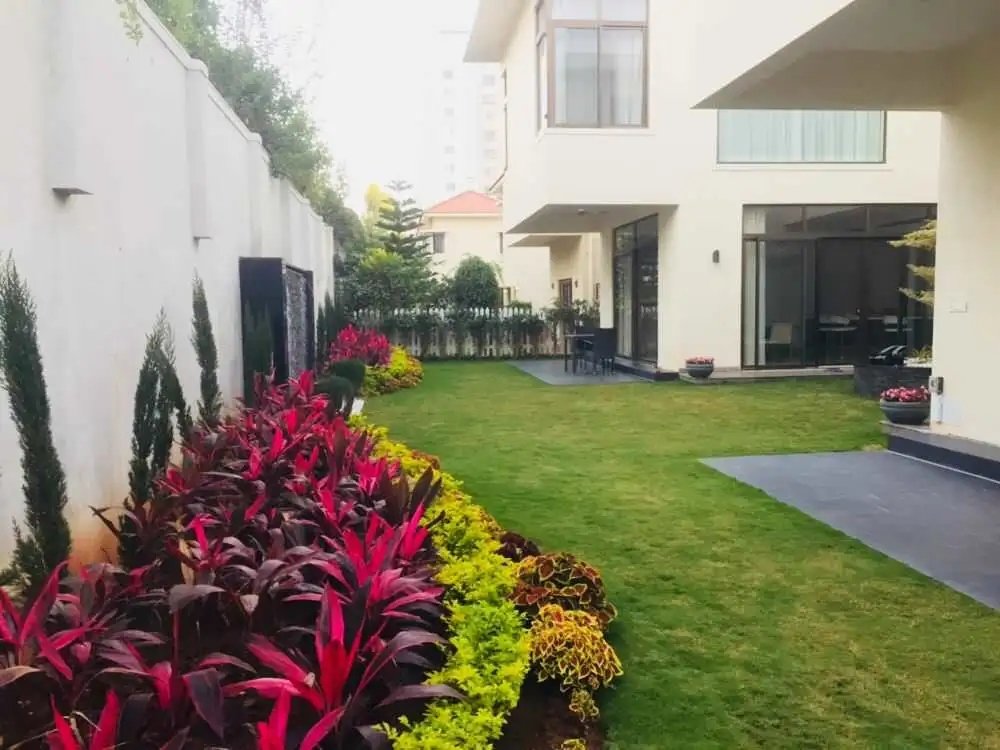 Front Yard & Backyard Landscaping